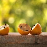 Giardiniere applica un rimedio naturale per allontanare le zanzare dal giardino.