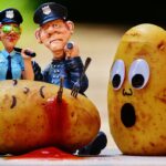 Patate crude e cotte, evidenziando il rischio di tossicità in caso di cottura errata.