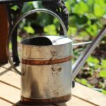 Immagine di un giardino con piante e un flacone di acqua e aceto per la cura delle piante.