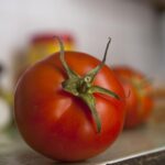 Pomodori rossi con segni di marciume, simbolo dei rischi legati al consumo eccessivo.