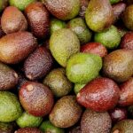 Avocado maturo con buccia verde scuro e consistenza morbida, pronto per essere consumato.