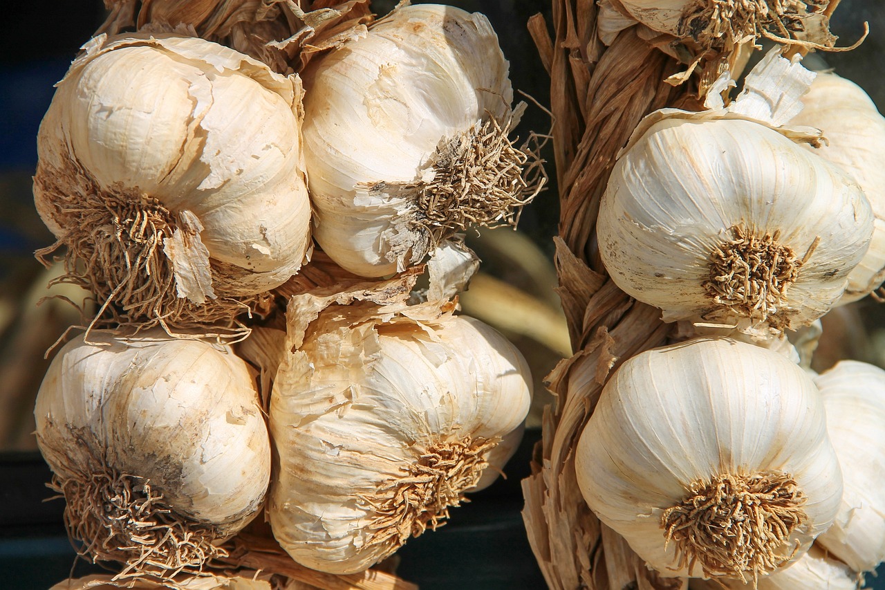Aglio fresco e piante in giardino, simbolo di protezione naturale contro i parassiti.